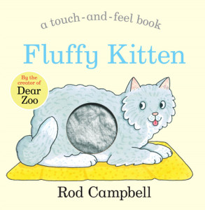 Fluffy Kitten Fluffy Kitten