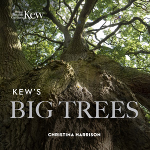 Kew’s Big Trees