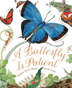 A Butterfly Is Patient A Butterfly Is Patient