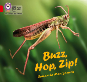 Buzz, Hop, Zip!: Band 02A/Red A