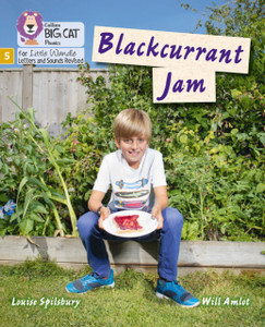 Blackcurrant Jam: Phase 5 Blackcurrant Jam: Phase 5