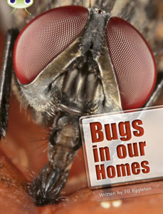 Bug Club Independent Non Fiction Year Two Lime A Bugs In Our Homes