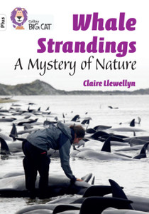 Whale Strandings: A Mystery Of Nature: Band 10+/White Plus Whale Strandings: A Mystery Of Nature: Band 10+/White Plus