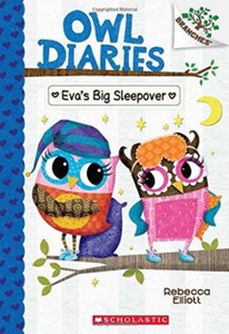 Eva'S Big Sleepover: A Branches Book (Owl Diaries #9)