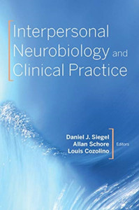 Interpersonal Neurobiology And Clinical Practice