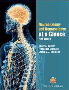 Neuroanatomy And Neuroscience At A Glance
