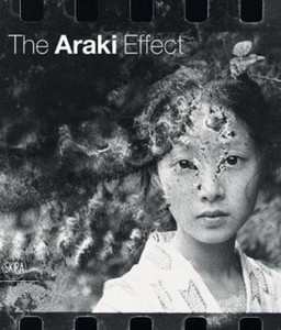 The Araki Effect The Araki Effect