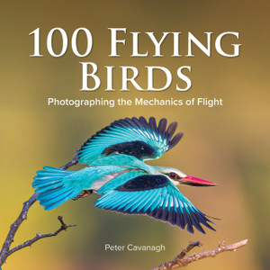 100 Flying Birds 100 Flying Birds