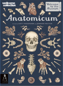 Anatomicum Anatomicum