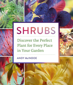 Shrubs: Discover The Perfect Plant For Every Place In Your Garden Shrubs: Discover The Perfect Plant For Every Place In Your Garden