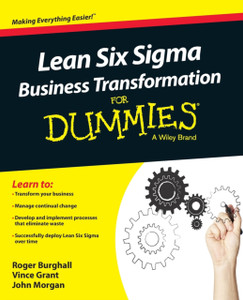 Lean Six Sigma Business Transformation For Dummies