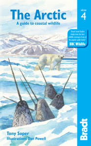 Arctic: A Guide To Coastal Wildlife