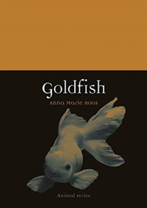 Goldfish - 9781789141351 Goldfish - 9781789141351