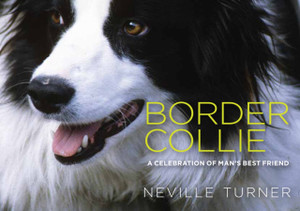 Border Collie Border Collie
