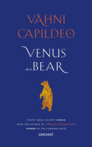 Venus As A Bear
