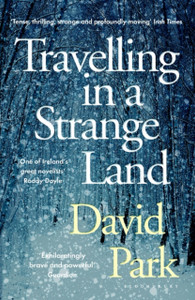 Travelling In A Strange Land: Winner Of The Kerry Group Irish Novel Of The Year
