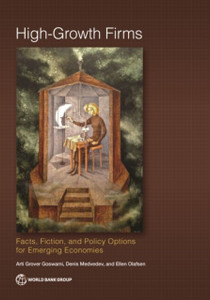 High-Growth Firms: Facts, Fiction, And Policy Options For Emerging Economies