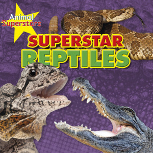 Reptile Superstars Reptile Superstars