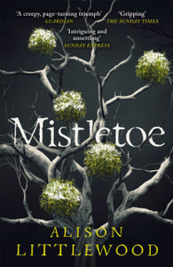 Mistletoe: 'The perfect read for frosty nights' HEAT
