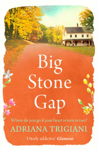 Big Stone Gap - 9781471192579