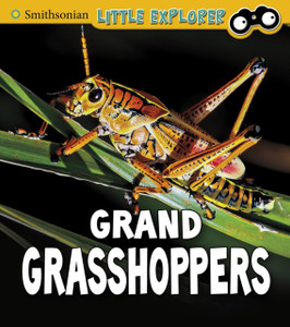 Grand Grasshoppers Grand Grasshoppers