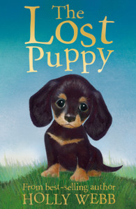 The Lost Puppy - 9781847152244 The Lost Puppy - 9781847152244