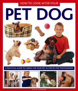 How To Look After Your Pet Dog How To Look After Your Pet Dog