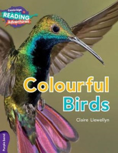 Cambridge Reading Adventures Colourful Birds Purple Band Cambridge Reading Adventures Colourful Birds Purple Band