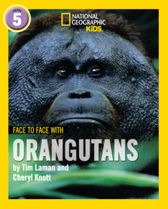 Face To Face With Orangutans: Level 5 Face To Face With Orangutans: Level 5