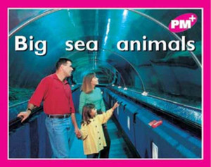 Big Sea Animals Big Sea Animals