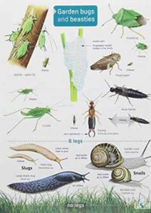 Garden Bugs And Beasties Garden Bugs And Beasties