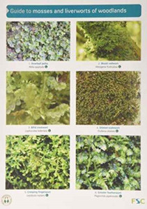 Guide To Mosses And Liverworts Of Woodlands Guide To Mosses And Liverworts Of Woodlands