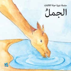 Camel Camel