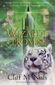 The Wizard'S Promise The Wizard'S Promise