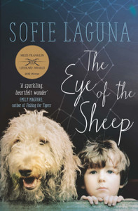 The Eye Of The Sheep