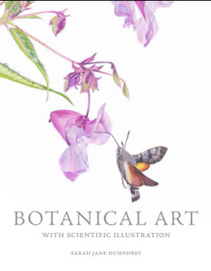 Botanical Art With Scientific Illustration