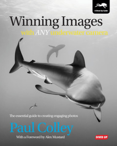 Winning Images With Any Underwater Camera: The Essential Guide To Creating Engaging Photos Winning Images With Any Underwater Camera: The Essential Guide To Creating Engaging Photos