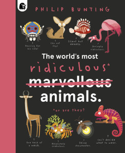 The World'S Most Ridiculous Animals The World'S Most Ridiculous Animals