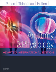 Anatomy And Physiology: Adapted International Edition