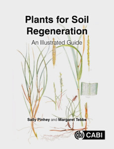Plants For Soil Regeneration: An Illustrated Guide
