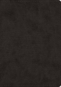 Esv Study Bible, Large Print Esv Study Bible, Large Print