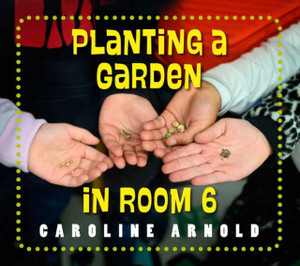Planting A Garden In Room 6: From Seeds To Salad