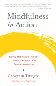 Mindfulness In Action: Making Friends With Yourself Through Meditation And Everyday Awareness Mindfulness In Action: Making Friends With Yourself Through Meditation And Everyday Awareness