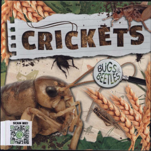 Crickets Crickets