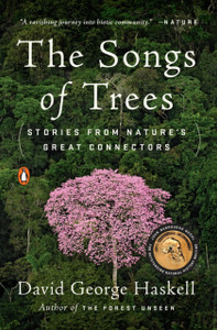 The Songs Of Trees The Songs Of Trees