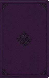 Esv Value Thinline Bible - 9781433565540