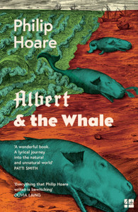Albert & The Whale - 9780008323325 Albert & The Whale - 9780008323325