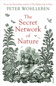 The Secret Network Of Nature: The Delicate Balance Of All Living Things
