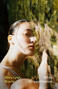 White Chrysanthemum - 9781784877514