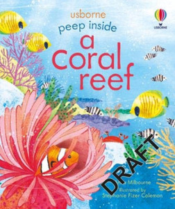Peep Inside A Coral Reef